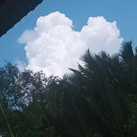 cân mọi nhân vật