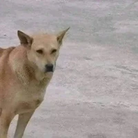 ? ? ? | Nó dthw mà đúng không Ẻic? |