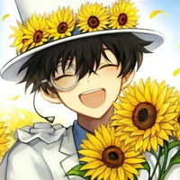 Kaito Kid (Kuroba Kaito)