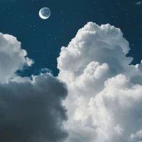 tác giả(thiên thiên)