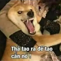 Báo thủ lớp 11E1