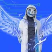 error sans 405