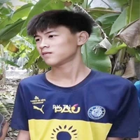 LTThật