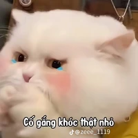 tác giả nè