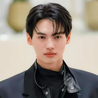 Win Metawin