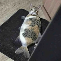 Hine[hệ thống 009]