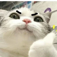 Tác giả ăn mận
