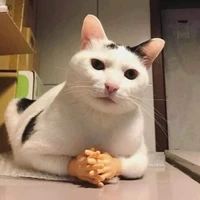 người bí ẩn :))