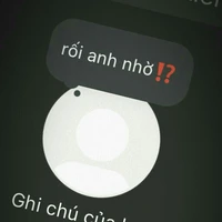 NVP