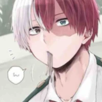 todoroki shouto