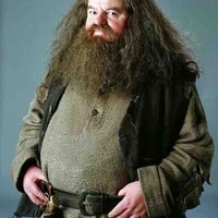 Rubeus Hagrid