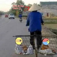 Gia đình đại việt