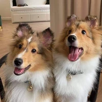 Bentley and Cartier