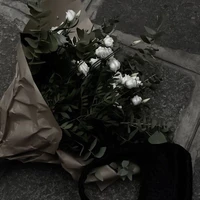棉宝宝