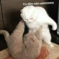 :