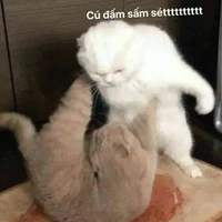 :