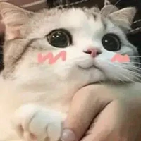 :3???