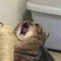 :D**