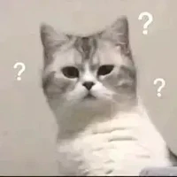 •-•??