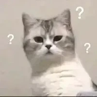•-•??