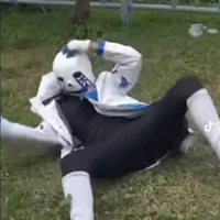 404