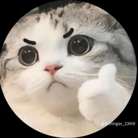 Anyie