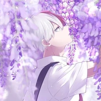 Todoroki Shouto