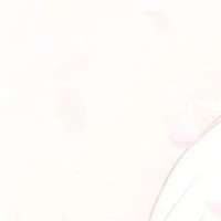 Nhân vật bí ẩn