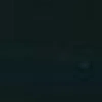 Nhân vật được ẩn