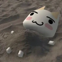 mèo