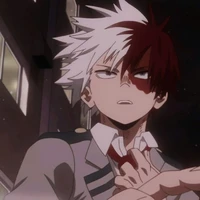 todoroki shoto