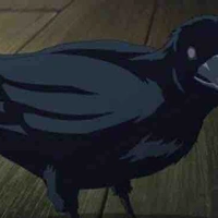 Quạ 🐦‍⬛ báo đời