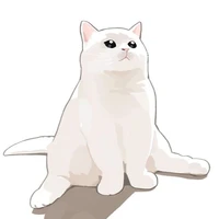 Mèo