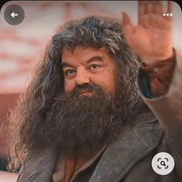Rubeus Hagrid