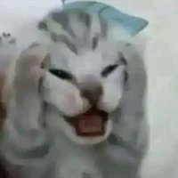 NV 🩲 chúng