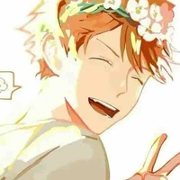 Hinata Shouyo(Omega)