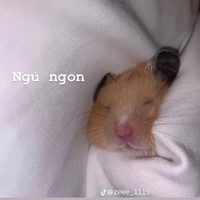 ？？？