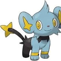Shinx