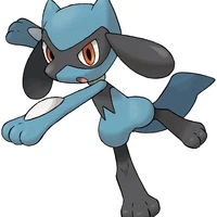Riolu