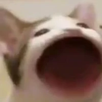 Tác giả nạnh nùng