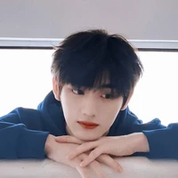 Đinh Trình Hâm_y
