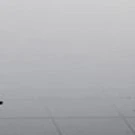 Nhân vật quần chúng