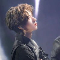 Hạ Tuấn Lâm