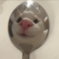 T/g