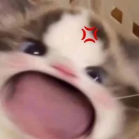 Tiểu Ân Tử 😈