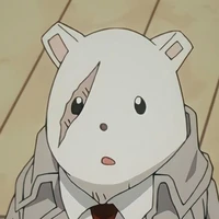 nezu