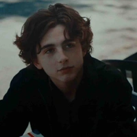 Regulus Black 