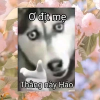mọi người