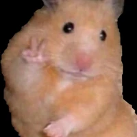 Tình cũ của Toán Hình