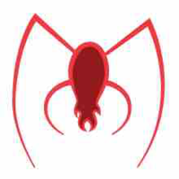 Nhện
